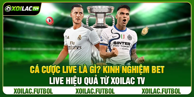 Cá Cược Live Là Gì? Kinh Nghiệm Bet Live Hiệu Quả Từ Xoilac TV