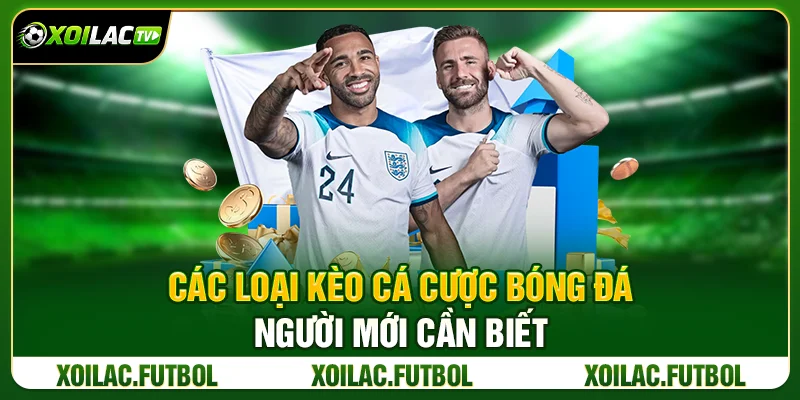 Các Loại Kèo Cá Cược Bóng Đá Người Mới Cần Biết