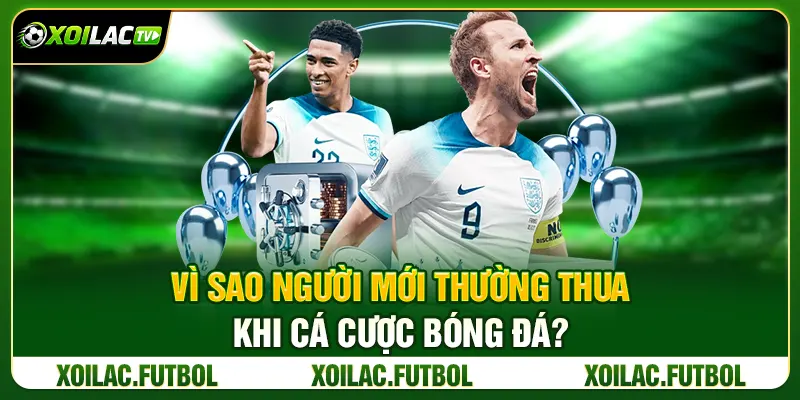 Kinh Nghiệm Cá Cược Bóng Đá An Toàn Cho Newbie 2026 2 Vì Sao Người Mới Thường Thua Khi Cá Cược Bóng Đá?